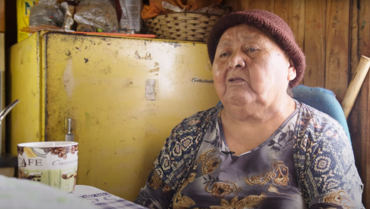 /guardianes-del-patrimonio-en-la-memoria-de-la-lawentuchefe-elba-puen