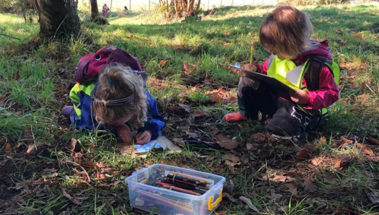 /local/forest-school-chile-impulsa-en-puerto-varas-un-innovador-modelo-educativo
