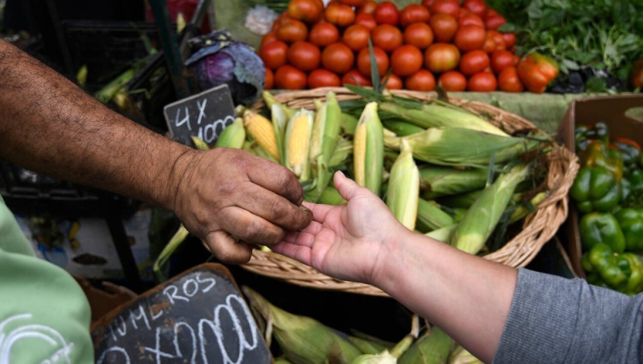 /entrevistas/economia/entrevista-fiestas-patrias-sociedad-nacional-de-agricultura-dice-que-no
