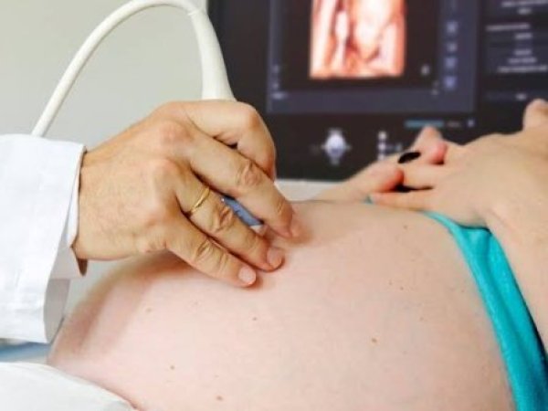 Proyecto de ley busca exigir escuchar latidos fetales antes de acceder al aborto en dos causales legales