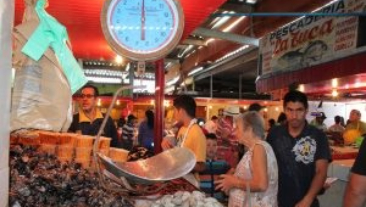 /nutricionista-de-la-ua-entrega-consejos-para-un-consumo-seguro-y-saludable