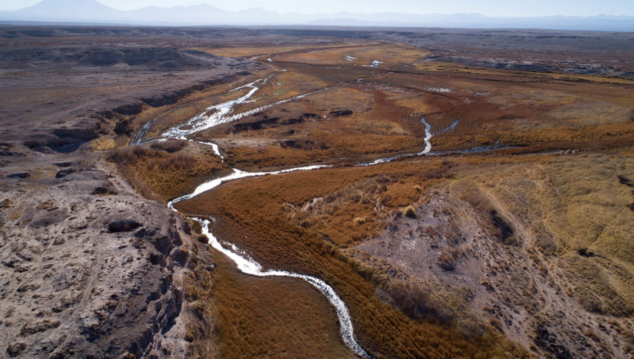 /consejo-regional-de-antofagasta-exigio-promover-la-preservacion-y-el